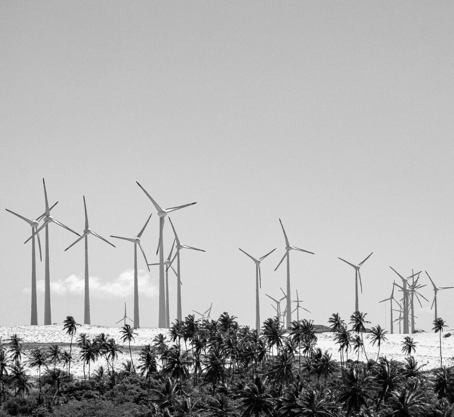 Planning for market entry to Brazil